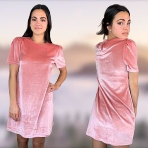 🌿 Anthropologie | WAYF Pink Velvet Mini Dress